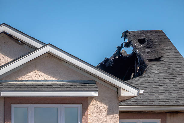 Licensed Content Restoration service in Mantua, NJ - Fire Damage Biloxi